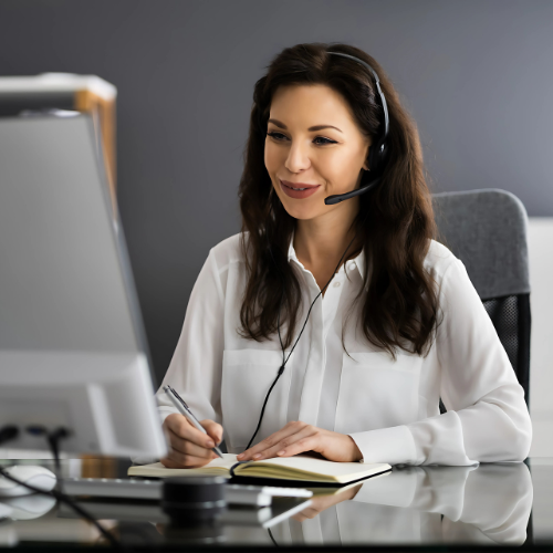 Professional Virtual Assistant Services